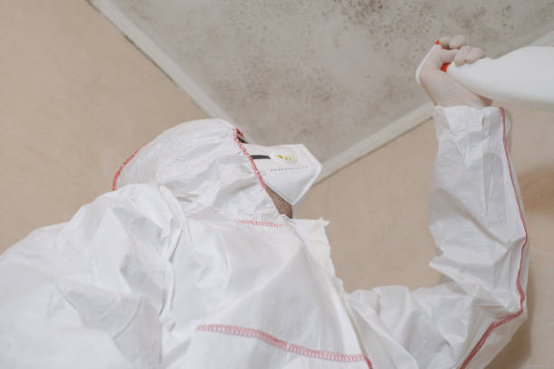 Best Professional Mold Removal  in Versailles, IN
