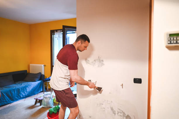 Mold Removal Process in Versailles, IN
